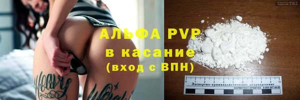 эйфоретик Баксан