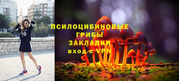 трава Беломорск