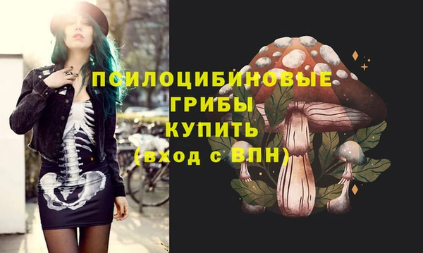 эйфоретик Баксан
