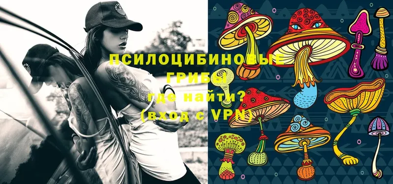 Галлюциногенные грибы Magic Shrooms  Духовщина 