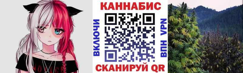 Шишки марихуана тримм  где купить наркоту  Духовщина 